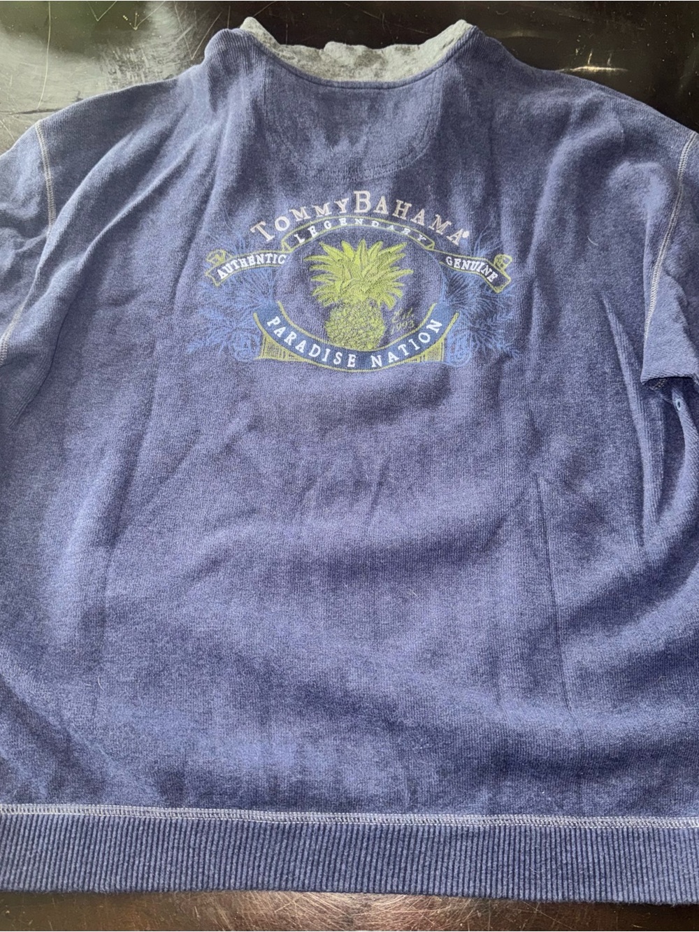 Tommy Bahama Navy Sweatshirt with Green Palm Graphic